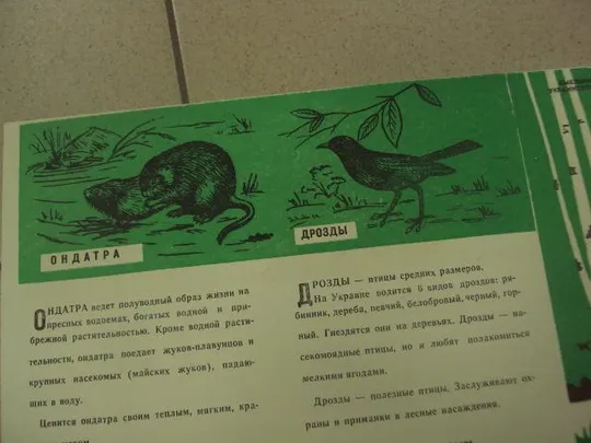 плакат охраняйте диких животных  хмельницкий 1972 №9717 Де купити