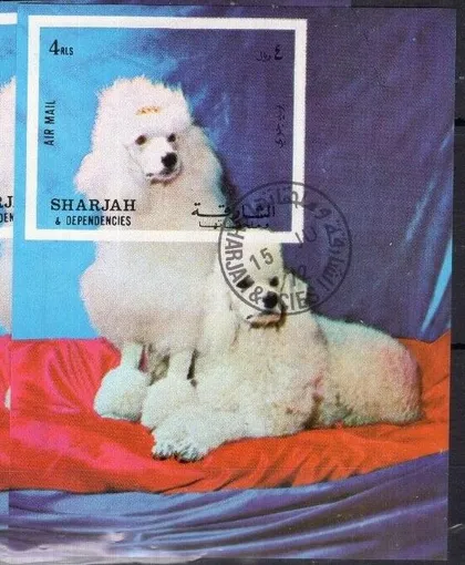 фото, Шарджа Фауна Собаки Пудель 1972