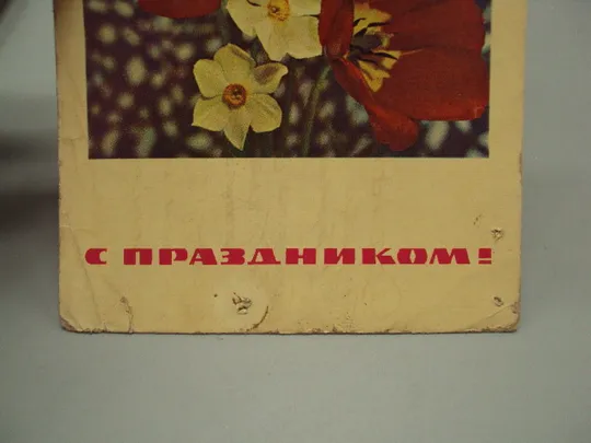 Открытка С праздником! цветы тюльпаны нарцисс фото и худ. оформление И. Дергилева 1968 год №18007 З аукціону