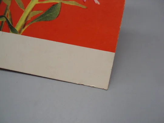Купити Открытка цветы астры фото Г. Костенко 1971 год №18066