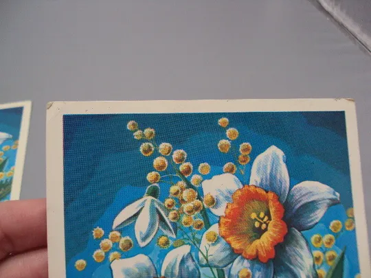 Открытка 8 марта цветы нарциссы подснежники художник С. Горлищев 1980 год лот 2 шт №17810 Де купити