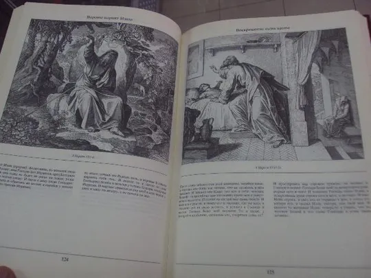 книга библия в иллюстрациях юлиус шнорр №44 Де купити