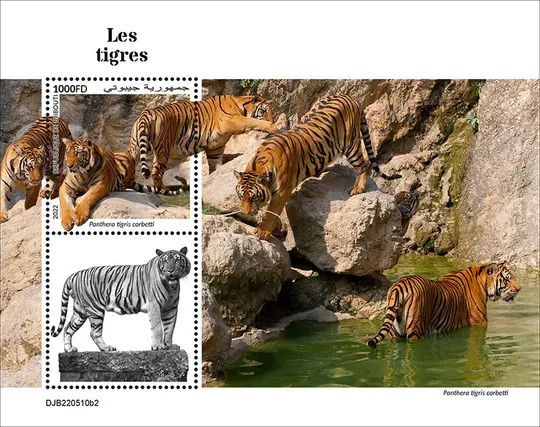 Джибути- Тигры- 2022.Чистый полный красивый комплект.MNH. З аукціону