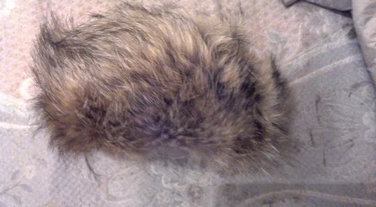 Шапка женская чернобурка З аукціону