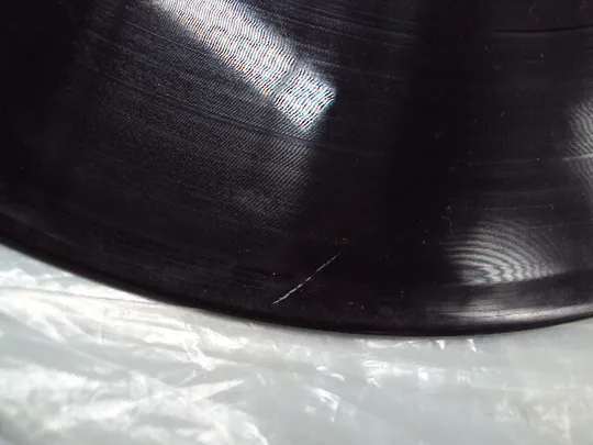 Пластинка мелодия Аль Бано и Ромина Пауэр Al Bano and Romina Power 1982 год 30 см №15417МЯ Де купити