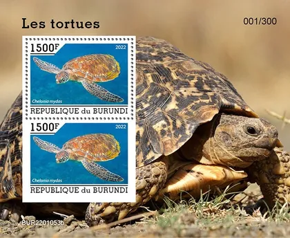 фото, Бурунди -Черепахи-2022.Чистый полный комплект.MNH.