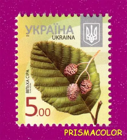 фото, ** УКРАИНА 2012 N1176 марка 8-ой Стандарт 5,00 Ольха Флора