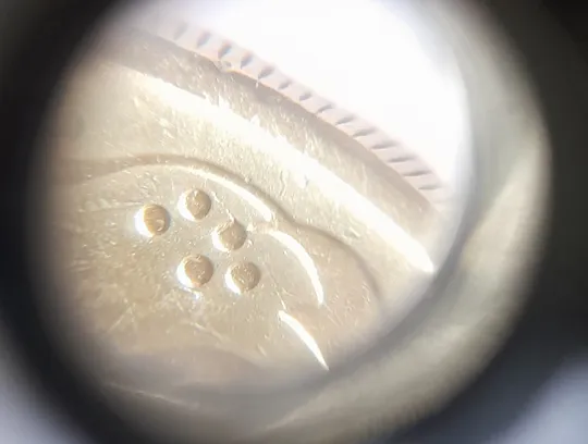 (2453) 50 копійок 1992 2.2ААм розколи у 1 та 6 гронах на реверсі - 5 монет одним лотом (50 копеек 1992 2.2ААм брак) Інтернет-аукціон