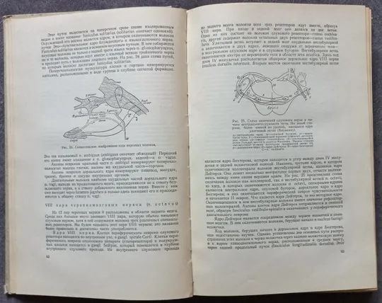 Нервные болезни. Е. К. Сепп, М. Б. Цукер, Е. В. Шмидт Продаж
