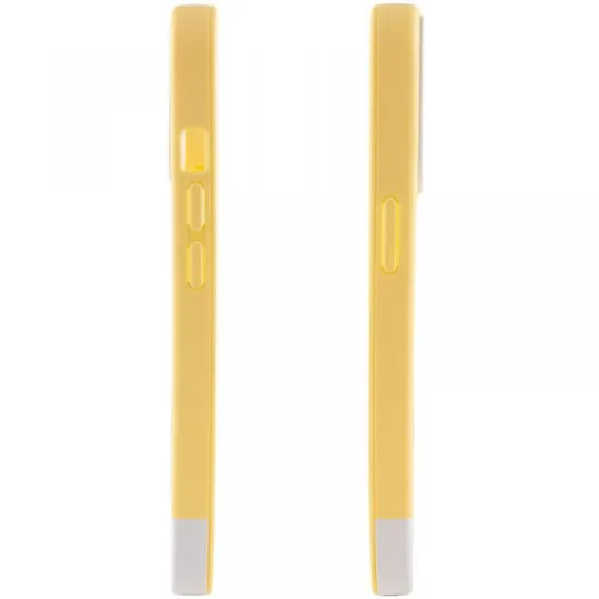 Чехол TPU+PC Bichromatic для Apple iPhone 13 Pro (6.1") З аукціону