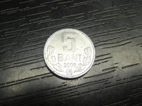 5 бані 2006 Молдова Ціна