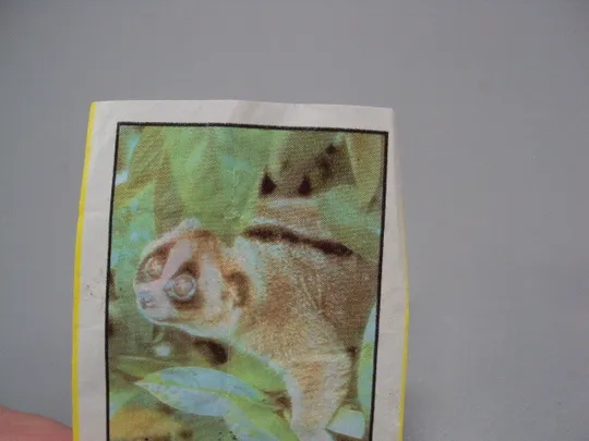 Вкладыши от жвачки CinCin slow loris Animals Cin Cin Turkye фантики Турция куканг лори 2 шт №17901мя Де купити