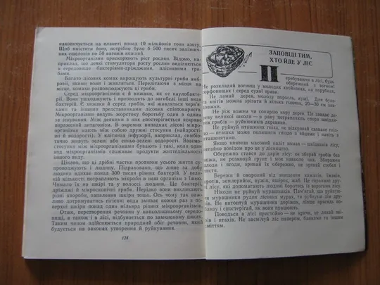 Лісова скринька. Характеристики