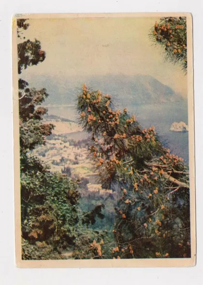 фото, ВЕСНА в КРЫМУ = 1956 р. = ШАГИН = чиста ==