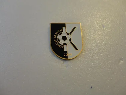 фото, Футбол. Значок ФК Лисичанск, Луганская область Украина.