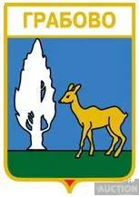 фото, значок геральдика Грабово / Закарпатська область /.