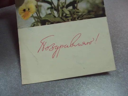 открытка поздравляю анютины глазки 1965 шраде №10933 Інтернет-аукціон