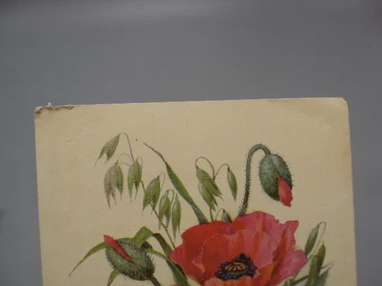 Купити Открытка цветы мак художник В. Колганов Таллин 1975 год Эстония №18047