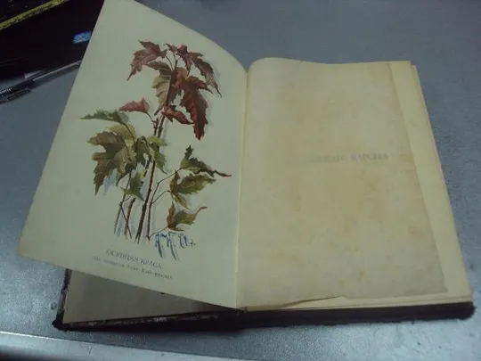 книга кайгородов популярные очерки из мира растений 1912 издание суворина №183 Де купити
