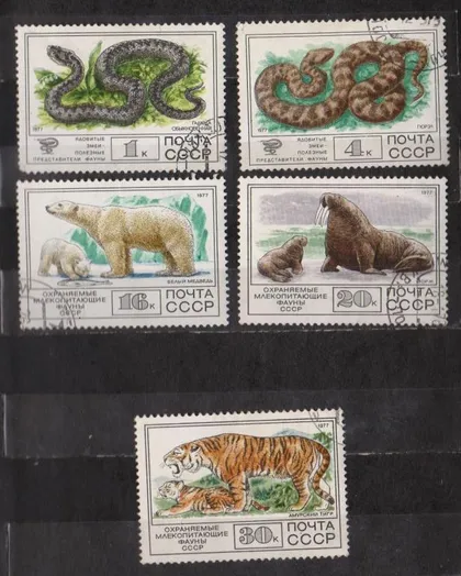 фото, ФАУНА = СССР - СРСР = 1977 р. = гаш ==