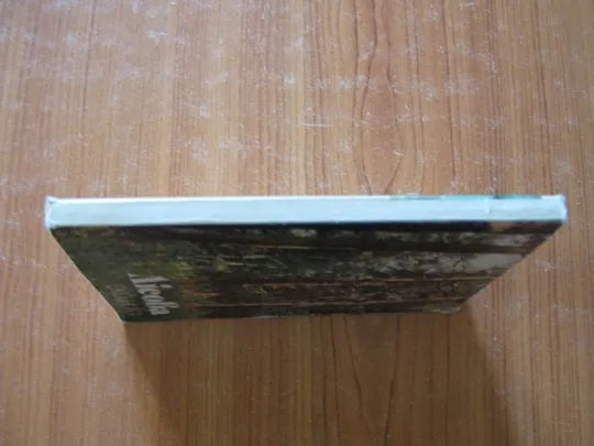 Купити Лісова скринька.