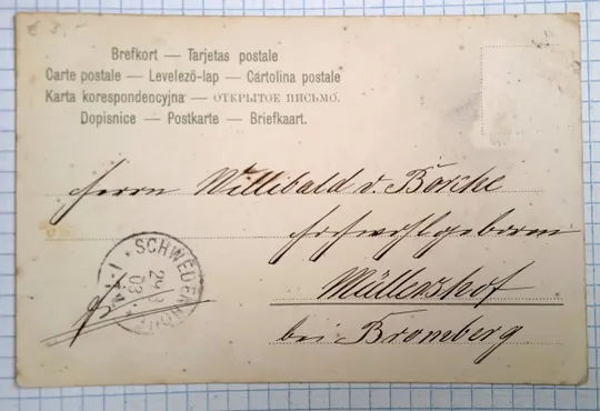 Купити Поштова картка Котик з моноклем Котики 1903 рік Австрія bZ08