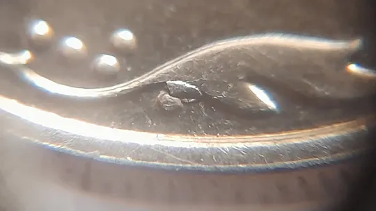 (5248) 10 копійок 2013 викрошка на вінку між 4 та 5 гронами (10 копеек 2013 брак) Де купити