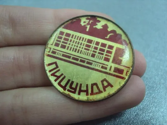 Купити знак пицунда №4740