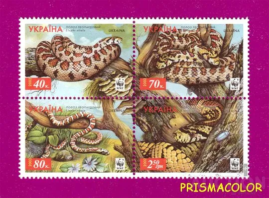 ** УКРАЇНА 2002 зчіпка Полоз леопардовий. Elaphe sіtula Ціна