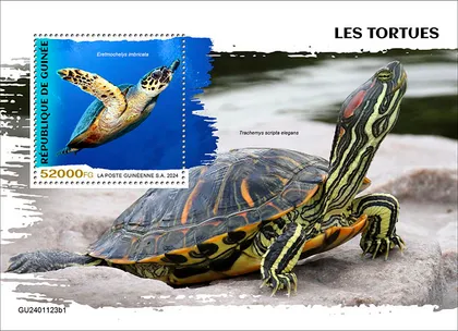 фото, Гвинея-Черепахи - 2024. Чистый полный красивый комплект. MNH.
