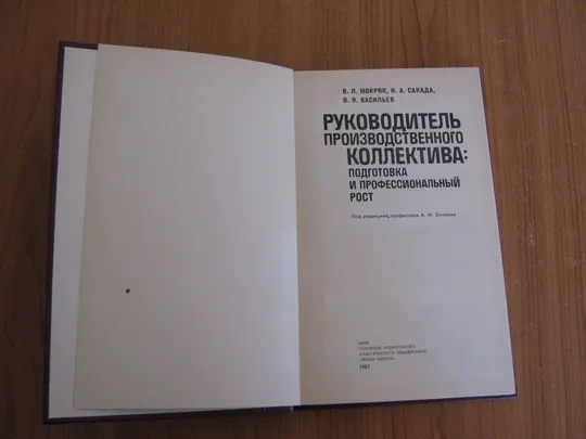 Мокряк В.Л.,Сакада Н.А.,Васильев В.В.Руководитель производственного коллектива:подготовка и профессиональный рост З аукціону