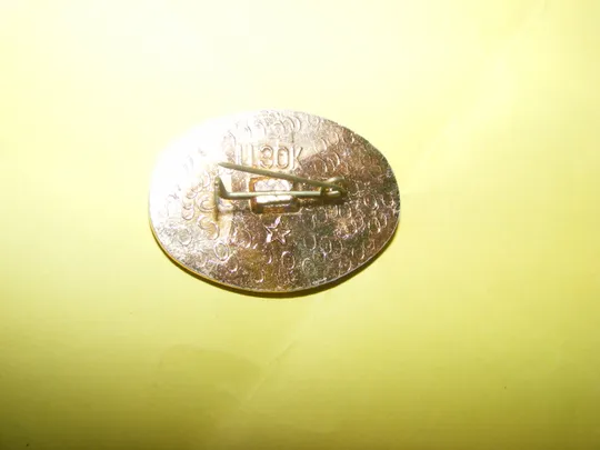 Купити Значок Динамо Киев (чемпион СРСР 1961 год.)