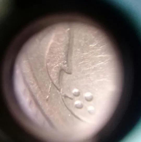 (3455) 50 копійок 1992 1АЕк багаточисельні розколи та викрошки на реверсі /50 копеек 1992 1АЕк брак Де купити