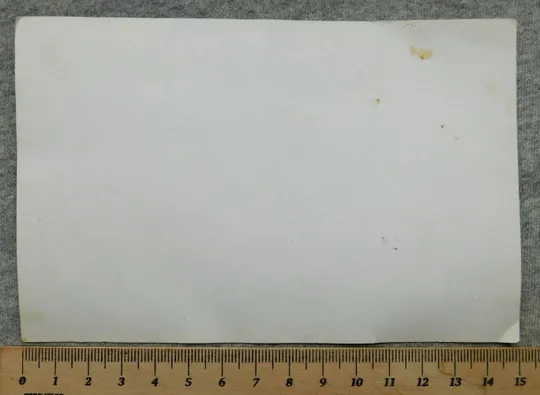 Купити преп. Ікона - Серафім Саровський з ведмедем - 1980-ті роки