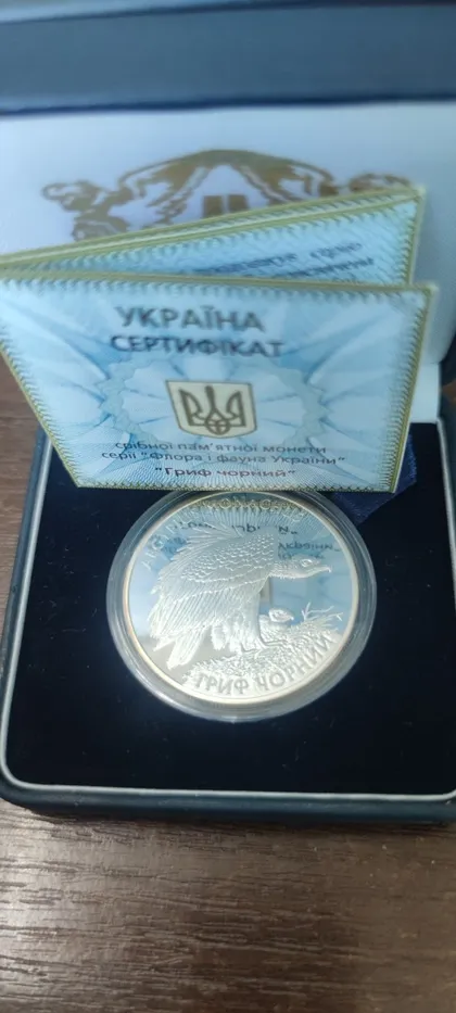 фото, Гриф Чорний 2008
