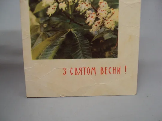 Открытка С праздником весны! цветы фото С. Белозерова 1964 год чистая №17856 З аукціону