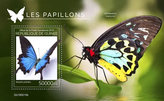 Гвинея Бабочки-2019. Чистый полный красивый комплект. MNH. Ціна