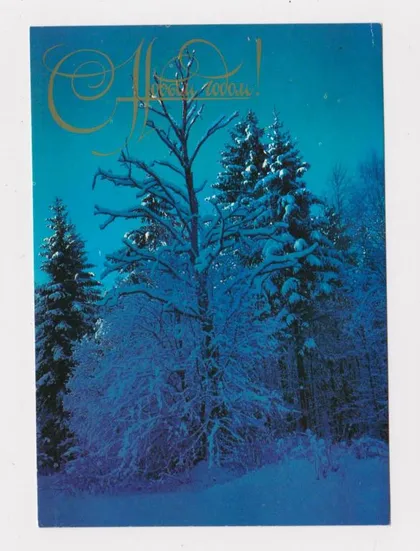 фото, С НОВЫМ ГОДОМ = 1980 г. = ЛУЧИНИНА = чистая #