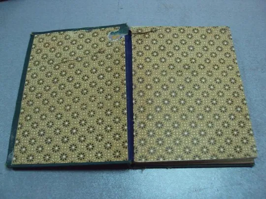 книга игорь северянин за струнной изгородью лиры 1918 москва изд. пашуканиса №11625 З аукціону