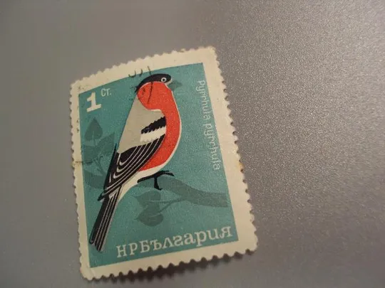 марка Болгария 1965 фауна птичка птица гаш №1645 З аукціону