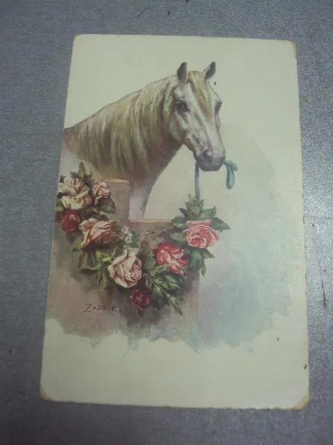 открытка лошадь райгород варшава военный госпиталь 1911  №1524 Ціна