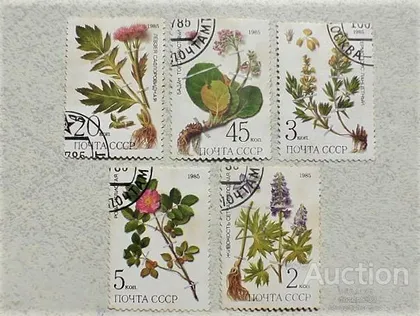 фото, Серія поштових марок СССР " Флора " 1985 рік