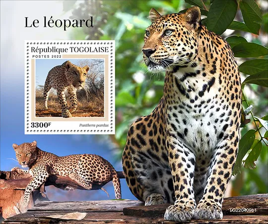 Того - Леопарды-2022.Чистый полный красивый комплект.MNH. Ціна