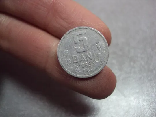 Купити монета молдова 5 бани 1993 №9083
