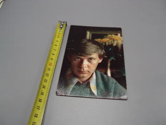 Открытка фотография Владимир Пучков 1980 год фото В. Борисова №18265МЯ Ціна