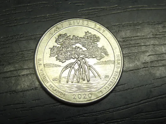 1/4 долара США 2020 P Бухта Солт Рівер Ціна