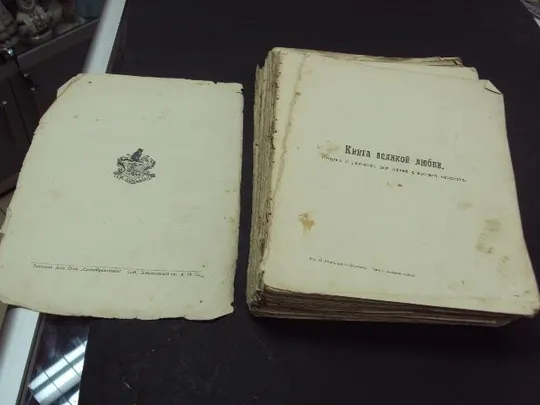 книга великой любви  немирович-данченко спб 1911 №116 З аукціону