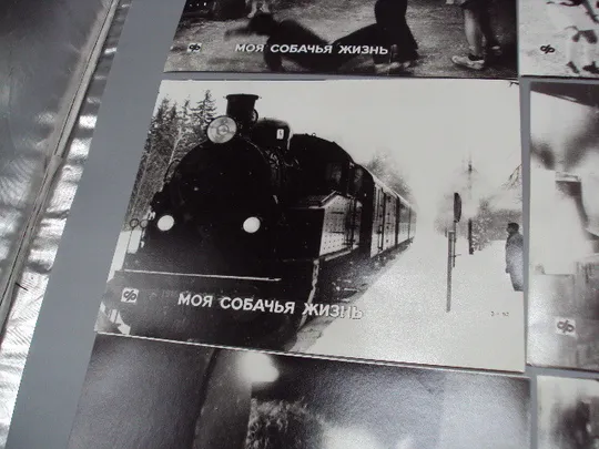 Кадр из фильма Моя собачья жизнь 1, 2, 3, 4, 5, 6 - 92 фотография 23,7х18,3 см лот 6 шт №18352МЯ Характеристики