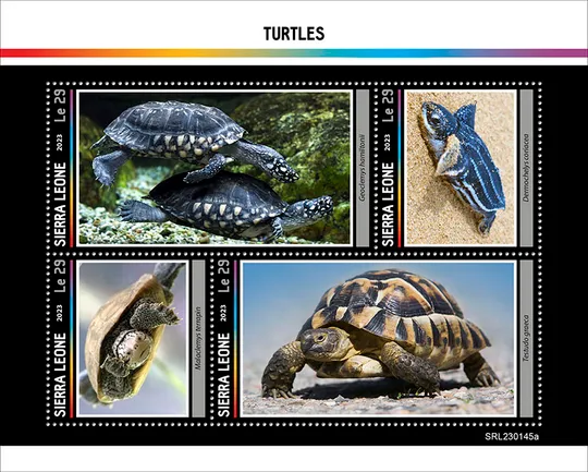 Сьерра Леоне-Черепахи-2023. Чистый полный красивый комплект.MNH. З аукціону