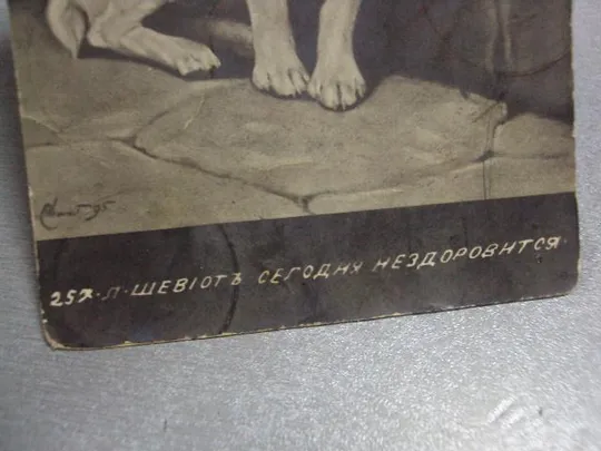 открытка сегодня не здоровится, винница 1911 №1390 Де купити